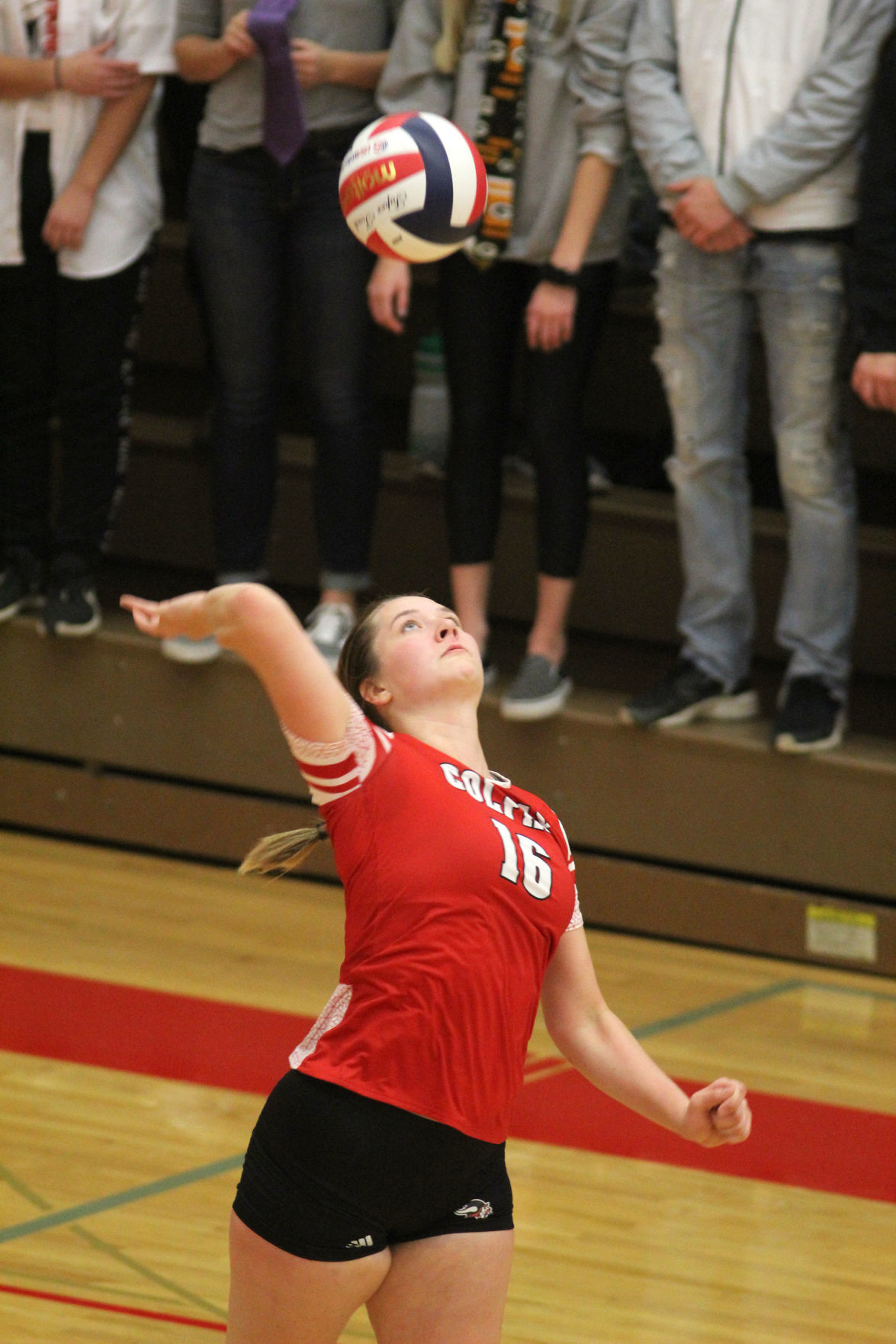 Cameron at Colfax volleyball regionals 10-24-19